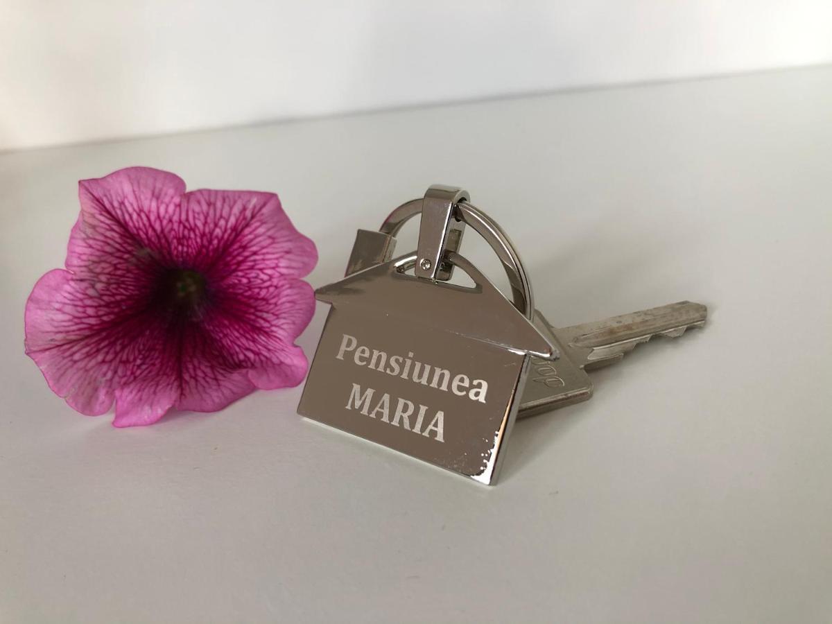 Pensiunea Maria Colibiţa Dış mekan fotoğraf