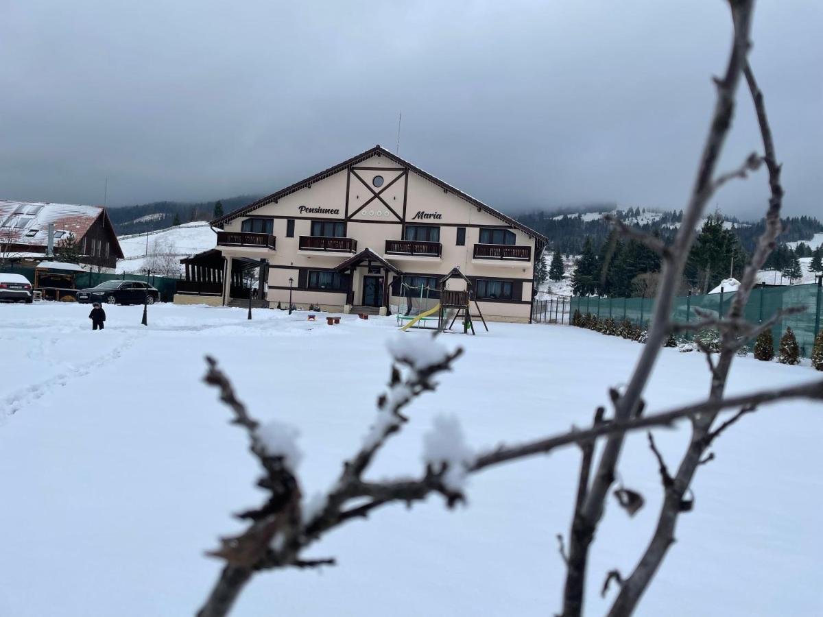 Pensiunea Maria Colibiţa Dış mekan fotoğraf
